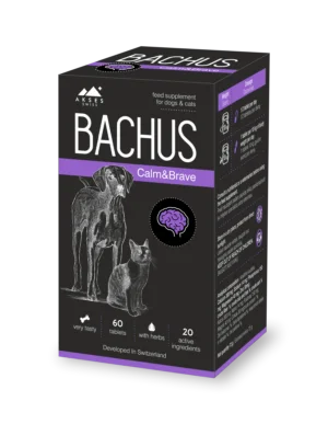 BACHUS_pakuotes5